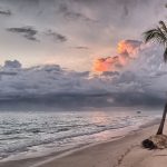 plage martinique