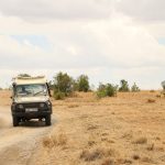 Parcourir les plus beaux parcs du Kenya durant un voyage en groupe