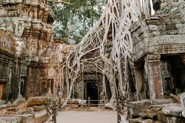 Pourquoi souscrire une assurance voyage Cambodge ?