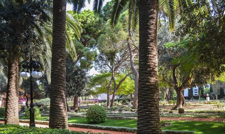 paysagiste jardin mediterraneen