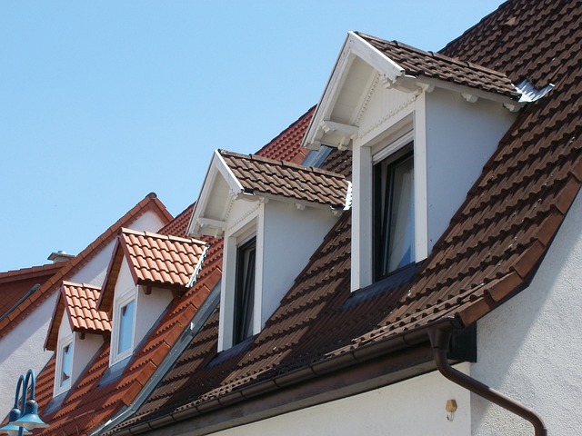 Réparation toiture : pourquoi confier vos travaux à un couvreur professionnel ?