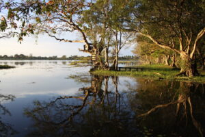 le lac en Kaudulla