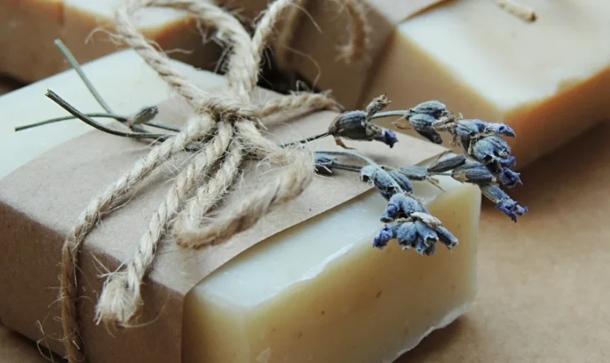 L’importance des huiles végétales dans la cosmétique artisanale