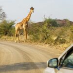 Où aller en Namibie les sites incontournables à découvrir