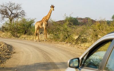 Où aller en Namibie les sites incontournables à découvrir