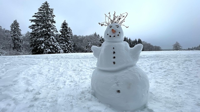 Tout ce qu’il faut savoir sur les boules de neige