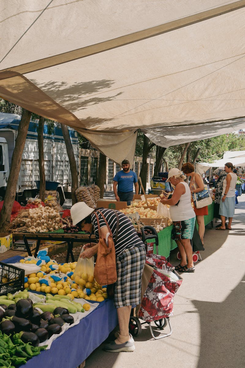 Marché Provençal : immersion au cœur des saveurs du Sud